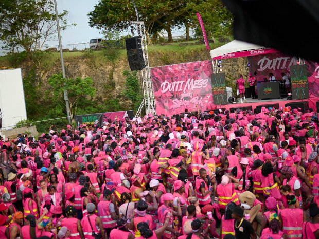 DUTTIMESS – STINK N PINK